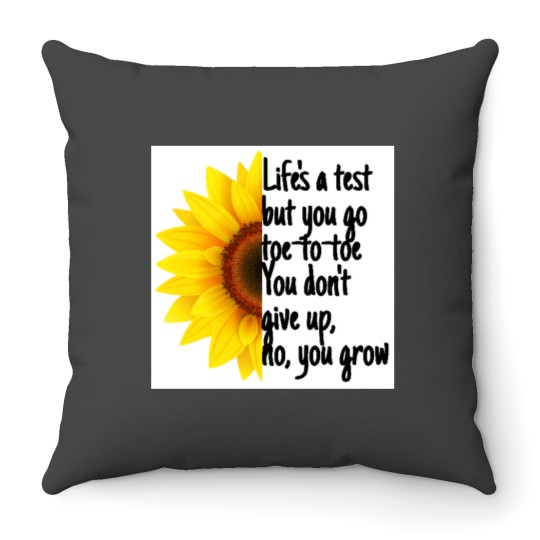 Discover Lifes a test Throw Pillows