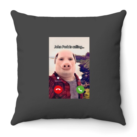 Discover John Pork Throw Pillows