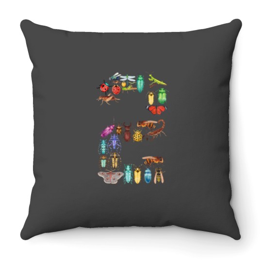 Discover Toddler 2nd Birthday Bugs Insects Beetles Kids 2 Year Old Throw Pillows