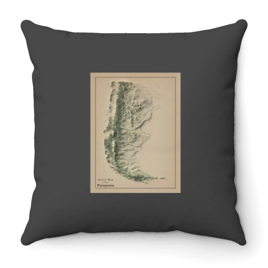 Discover Patagoniass in Argentina and Chile Relief Map 3D digitallyrendered Throw Pillows