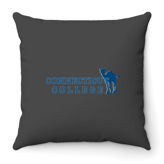 Discover CONNECTICUTss college Throw Pillows