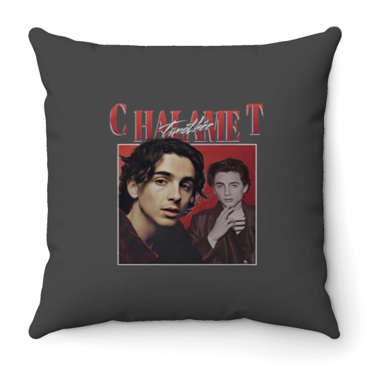 Discover Timothee chalamet Throw Pillows