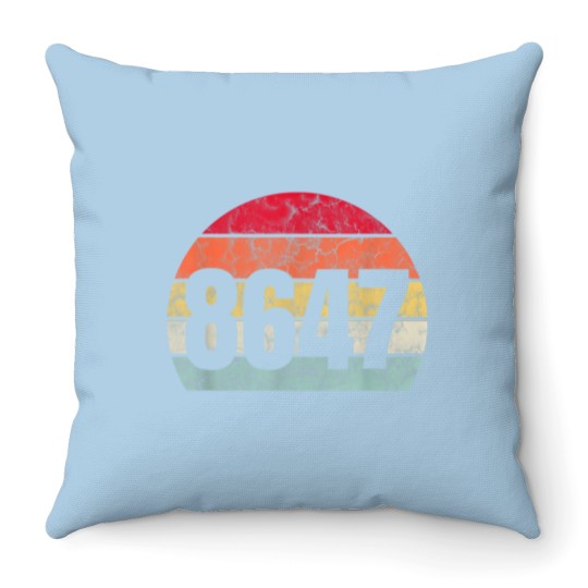 Discover 8647 Vintage Throw Pillows