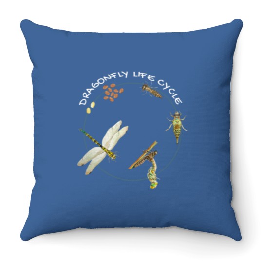Discover Dragonfly Life Cycle Facts 3 Stages Insect Development Throw Pillows