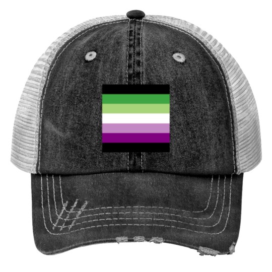 Discover AceAro Purple-Green Asexual Aromantic Pride Flag Queer LGBT+ Pin Trucker Hats