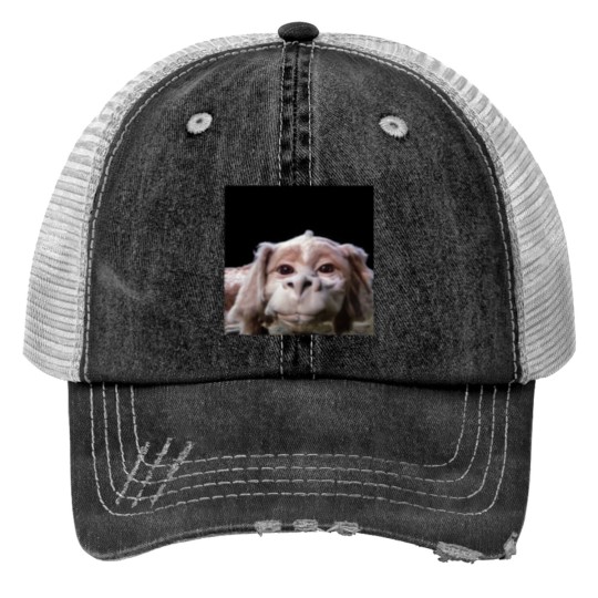 Discover Falkor The Luck Dragon From The Neverending Story Trucker Hats