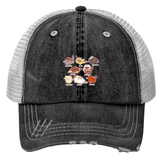 Discover Kitty Falls Classic Trucker Hats