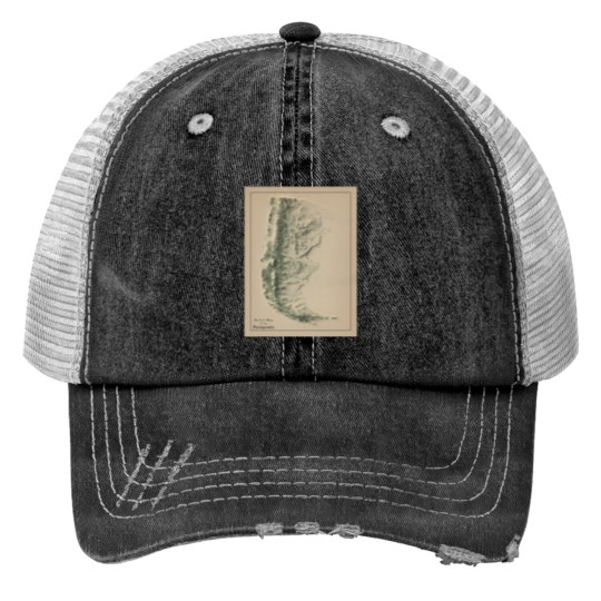 Discover Patagoniass in Argentina and Chile Relief Map 3D digitallyrendered Trucker Hats