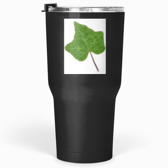 Discover Ivy Leaf Tumblers 30 oz