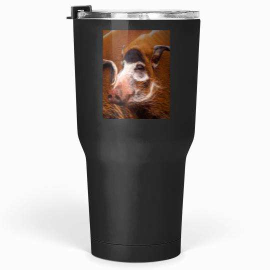Discover Zoology - Red River Hog Tumblers 30 oz