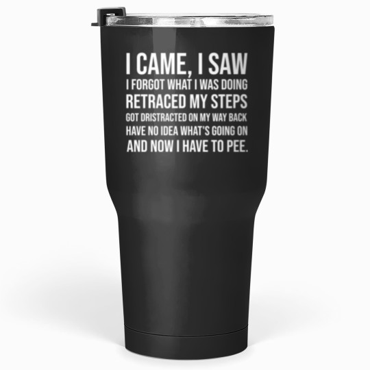 Discover i came i saw forgot what i was doing funny sarcastic ironic Tumblers 30 oz