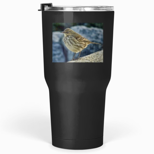 Discover The Finnmarken at Dusk in Tromso Tumblers 30 oz