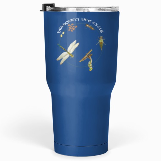 Discover Dragonfly Life Cycle Facts 3 Stages Insect Development Tumblers 30 Oz