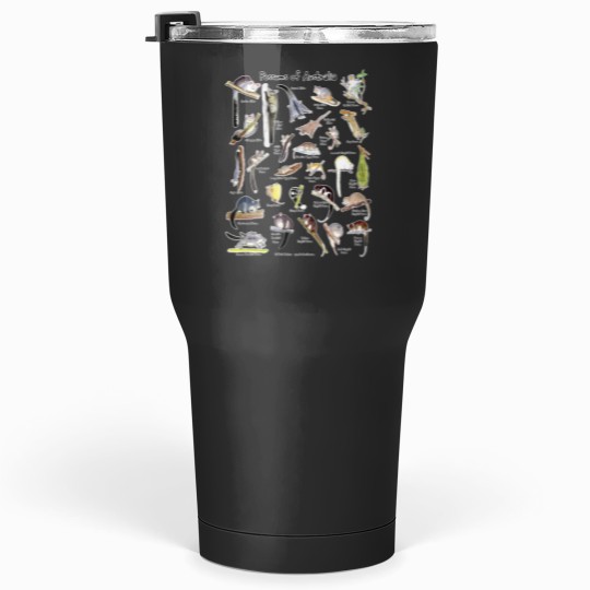 Discover Possumss of Australia (with names) Tumblers 30 oz