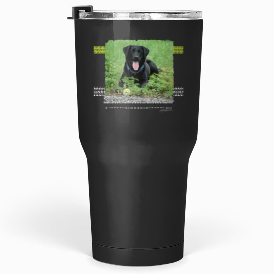 Discover Loki Black Labrador Tumblers 30 oz