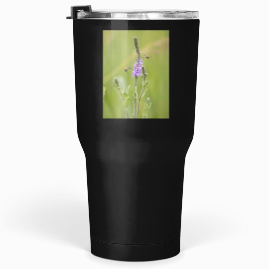 Discover bees fly and purple wildflowers Premium Tumblers 30 oz