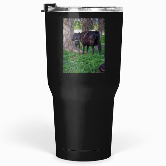 Discover Cow and Calf Unders Cottonwoods Tumblers 30 oz