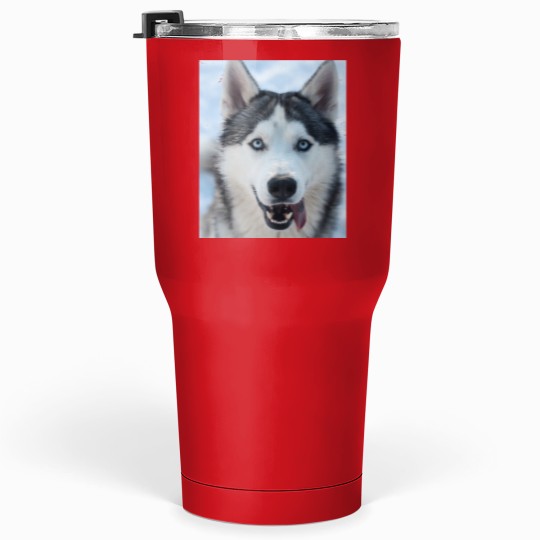 Discover funnys Looking Siberian Husky dogs Classic Tumblers 30 oz