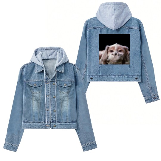 Discover Falkor The Luck Dragon From The Neverending Story Women's Denim Jackets