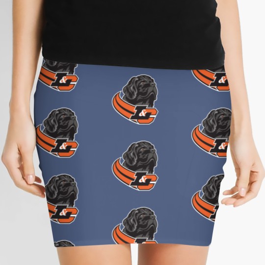 Discover Lewis & Clark College Pioneers Women's Mini Skirts