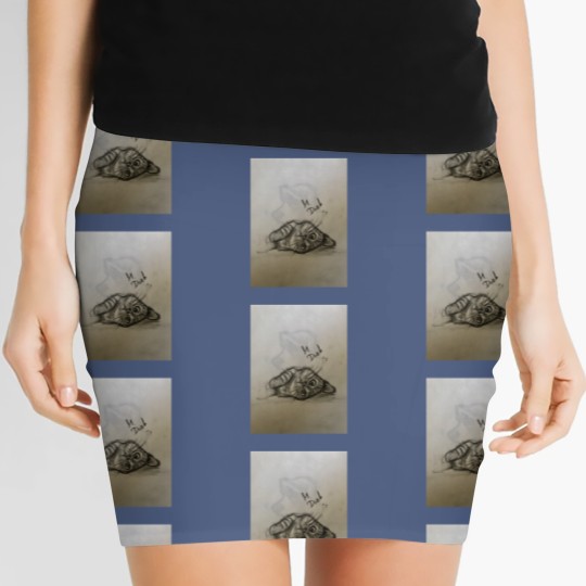 Discover Cat Refugee Women's Mini Skirts