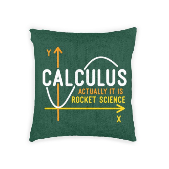 Discover Calculus Is Rocket Science Woven Pillows