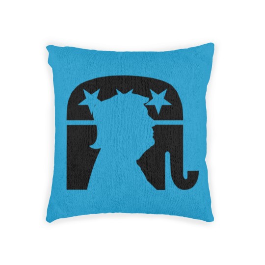 Discover president Donald Trump Woven Pillows