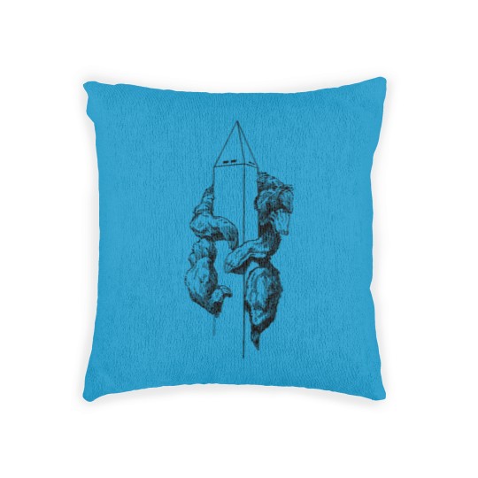 Discover Washington Monument Bear Woven Pillows