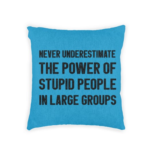 Discover Never Underestimate The Power Of Stupid People Woven Pillows