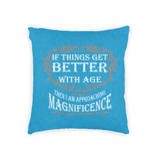 Discover Magnificence - Age Woven Pillows