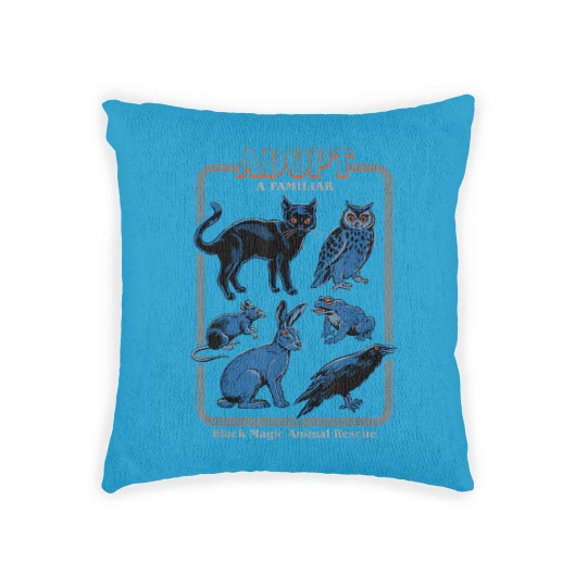Discover Steven Rhodes Adopt a Familiar Woven Pillows