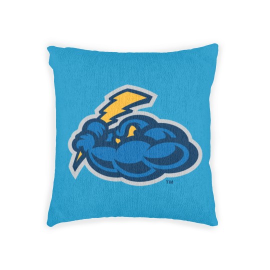 Discover Trenton Thunder Woven Pillows