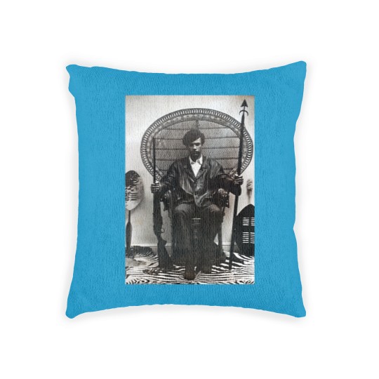 Discover Huey Newton Woven Pillows