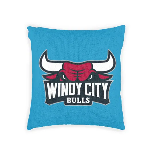 Discover Windy City Bulls Woven Pillows