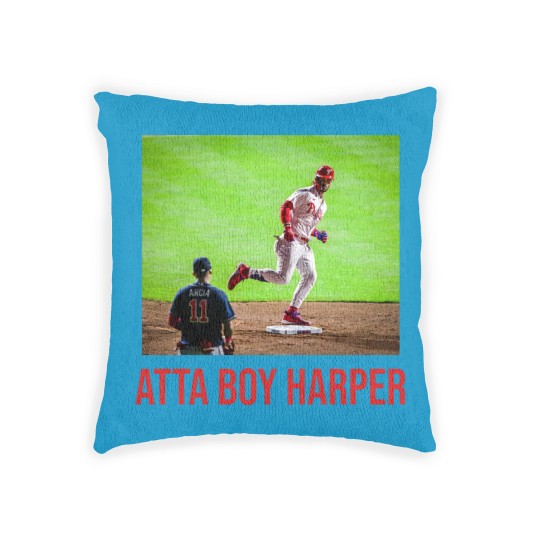 Discover Atta Boy Harper Woven Pillows