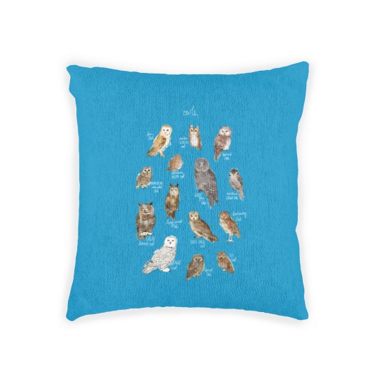 Discover Owls Woven Pillows