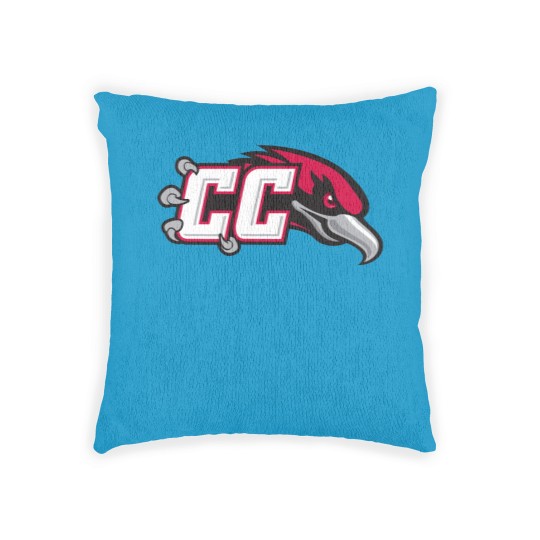 Discover Casper College Athletics Thunderbirds Woven Pillows