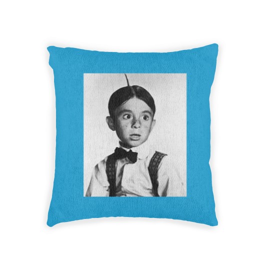 Discover Carl Alfalfa Switzer Woven Pillows