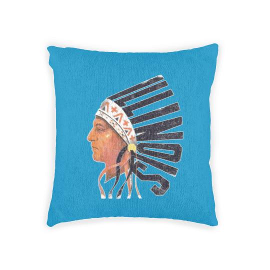 Discover Illinois Old University Woven Pillows