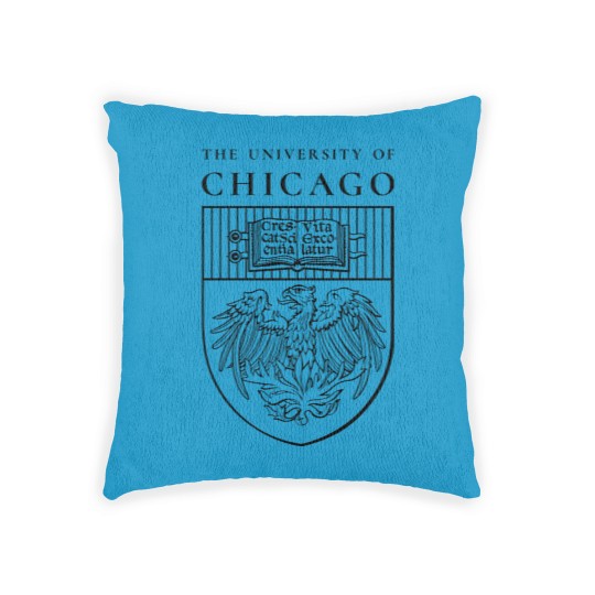 Discover THE UNIVERSITY OF CHICAGO Woven Pillows