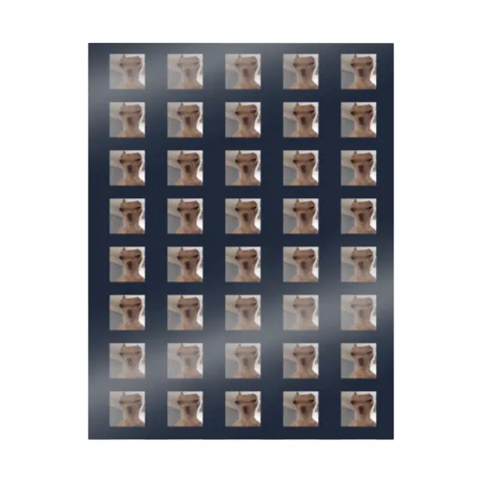 Discover Chihuahua meme - Funny - Wrapping Papers