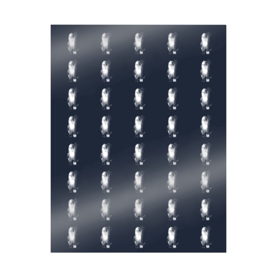 Discover Leland Sklar Bass Guitarist Wrapping Papers