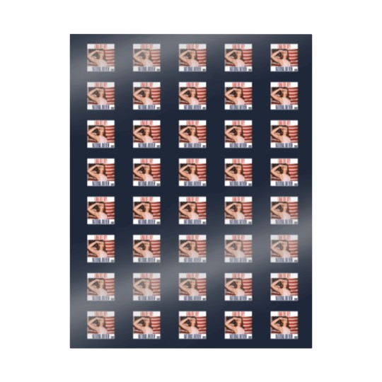 Discover National Anthem Lana Del Rey Wrapping Papers Unisex