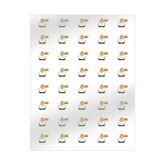 Discover Family Guy Wrapping Papers