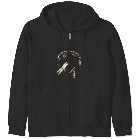 Discover Dragonfly Life Cycle Facts 3 Stages Insect Development Zip Hoodies