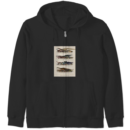 Discover Prehistoric Reptiles Size Chart Zip Hoodies