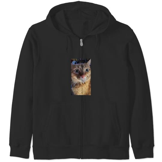 Discover What Zip Hoodies