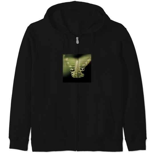 Discover Fern 2402 Zip Hoodies