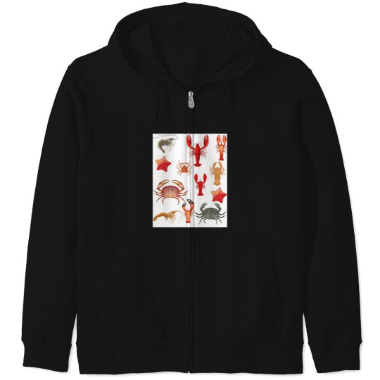 Discover Crustaceancore  Blue Zip Hoodies