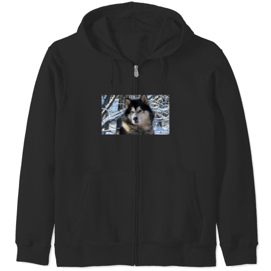 Discover Loup's first snowfall 2012 Zip Hoodies